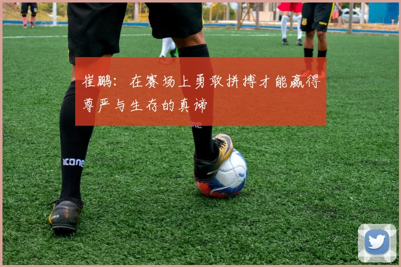 崔鹏：在赛场上勇敢拼搏才能赢得尊严与生存的真谛